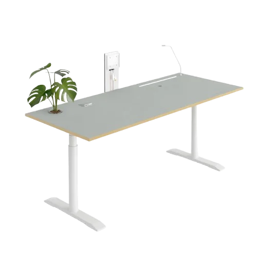 Business (Multi User)