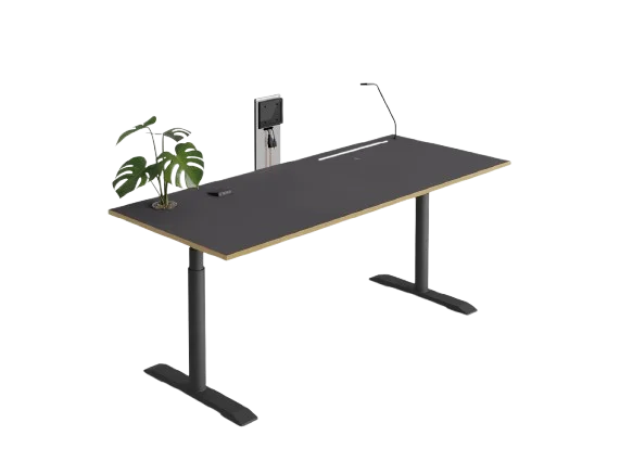 Professional (Single User)