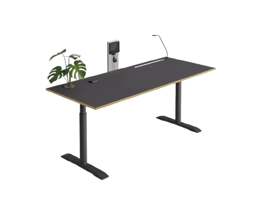 Professional (Single User)